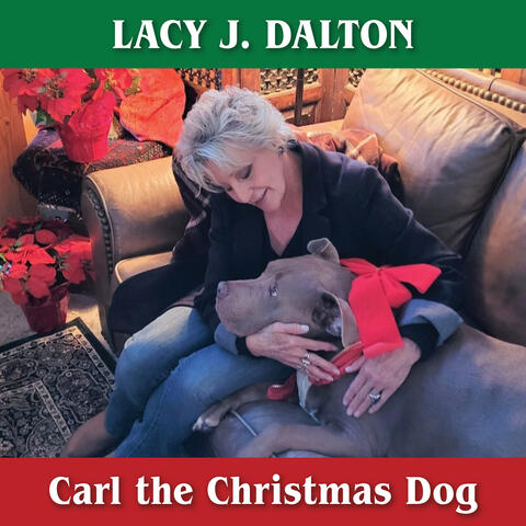 Carl the Christmas Dog