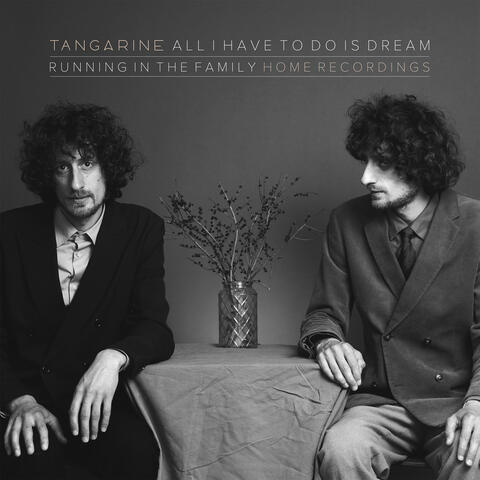 All I Have To Do Is Dream