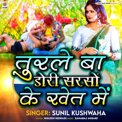 Turle Ba Dori Sarso Ke Khet Me