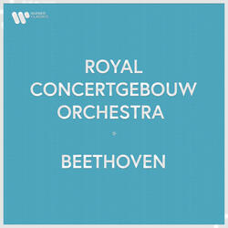 Beethoven: Violin Concerto in D Major, Op. 61: III. Rondo. Allegro