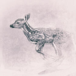 Dreamy First Snow (Piano Tapes)