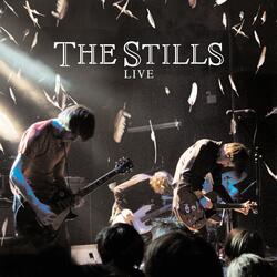 Still in Love Song