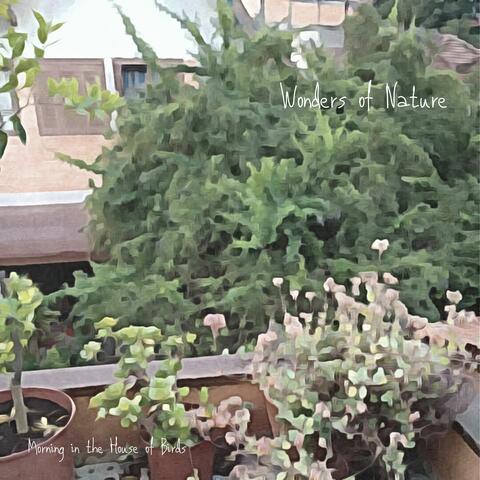 Morning in the House of Birds