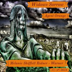 Widows Sorrow - Agent Orange
