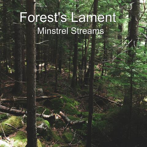 Forest's Lament
