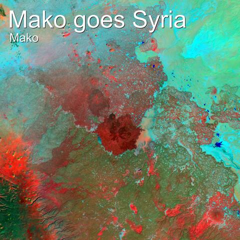 Mako Goes Syria