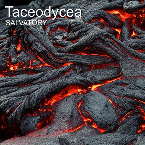Taceodycea