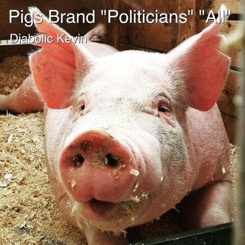 Pigs Brand "Politicians" "All"