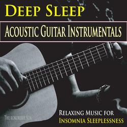Acoustic Insomnia Sleep