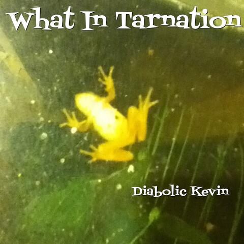 What in Tarnation