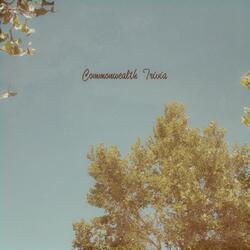 Commonwealth Trivia 1