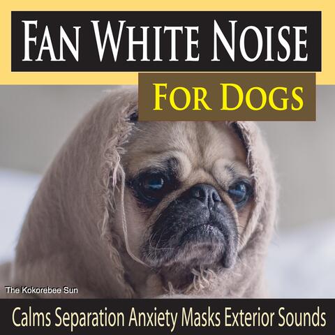 Fan White Noise for Dogs (Calms Separation Anxiety Masks Exterior Sounds)