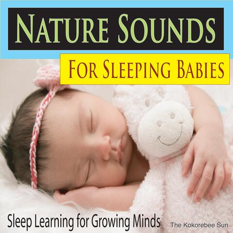 Nature Sounds for Sleeping Babies (Sleep Learning for Growing Minds)