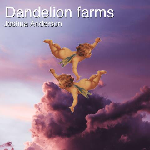 Dandelion Farms