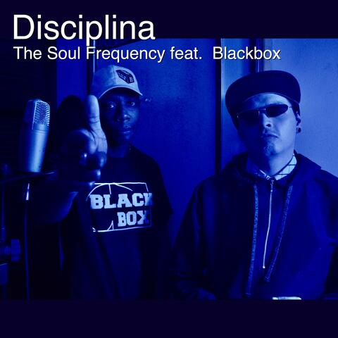 Disciplina (feat. Blackbox)