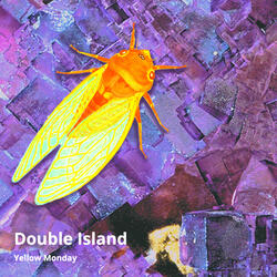 Double Island