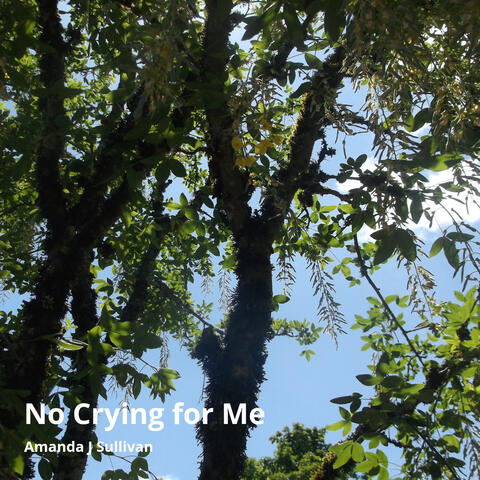 No Crying for Me