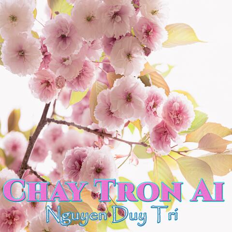 Chay Tron Ai