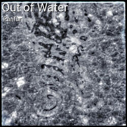 Out of Water