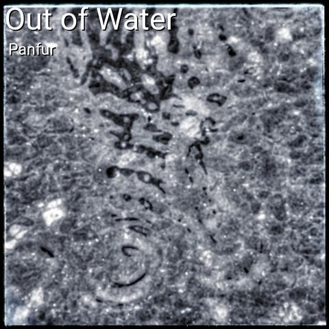 Out of Water