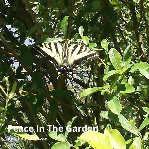 Peace in the Garden