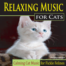 Catnip Minuet