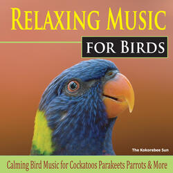 Parrots of the Amazon