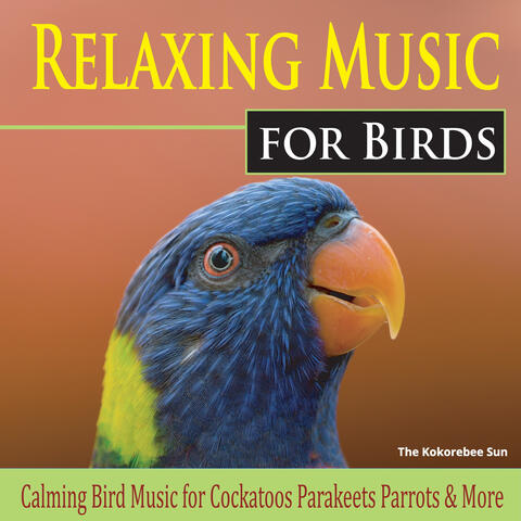 Relaxing Music for Birds (Calming Bird Music for Cockatoos, Parakeets, Parrots & More)