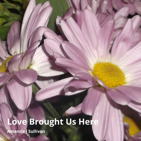 Love Brought Us Here