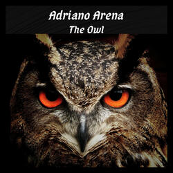 The Owl