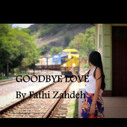 Goodbye Love
