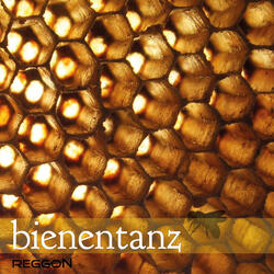Bienentanz