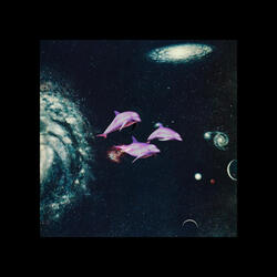 Dolphins from Outer Space