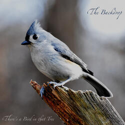 There's a Bird in That Tree