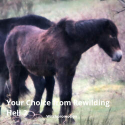 Your Choice from Rewilding Hell 2