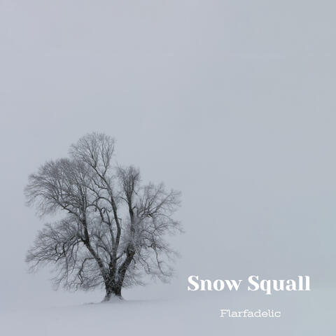 Snow Squall
