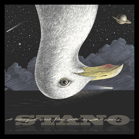 A Seagull that flew into another world