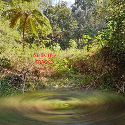 Selected Tracks, (Vol. 2)