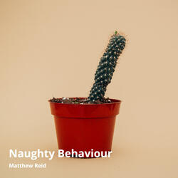 Naughty Behaviour