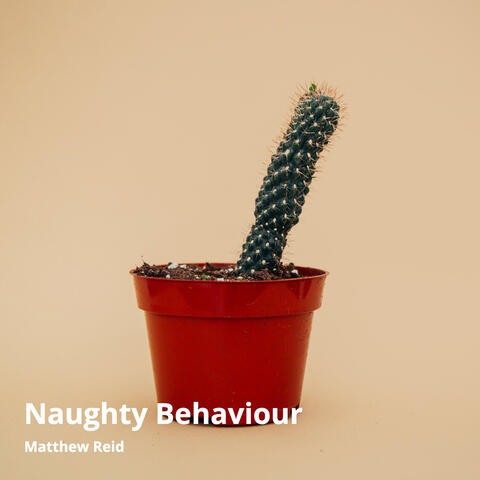 Naughty Behaviour