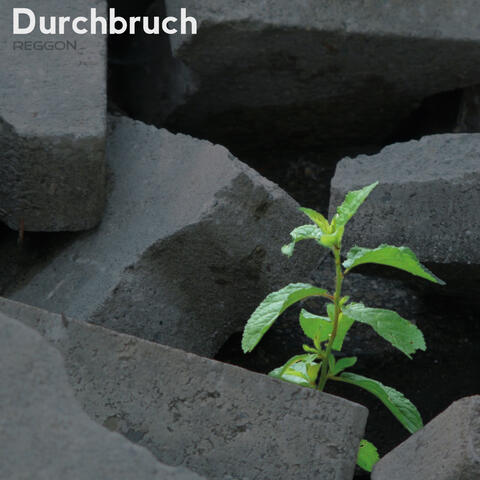 Durchbruch