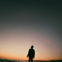 Chrysanthemum Cowgirl