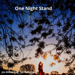 One Night Stand (feat. Tim Patterson)