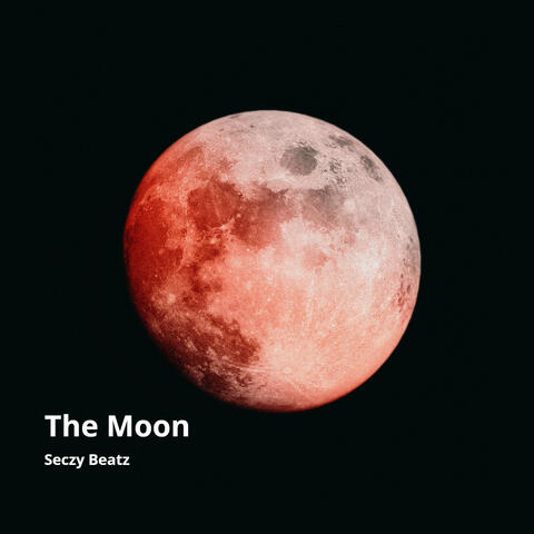 To the Moon (feat. Seczy Beatz)