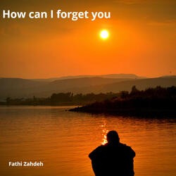 How Can I Forget You