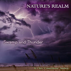 Swamp and Thunder