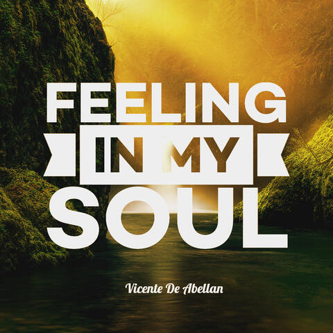 Feeling in My Soul