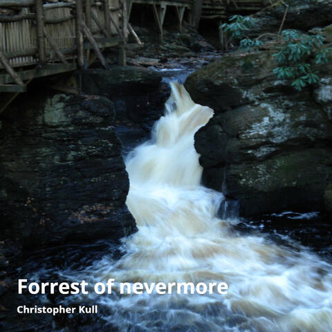 Forrest of Nevermore