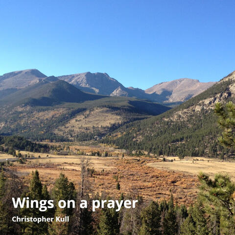 Wings on a Prayer