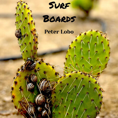 Surf Boards